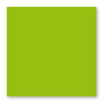 Carte faire part Pollen 210g 135 x 135mm par 25 - Vert Menthe