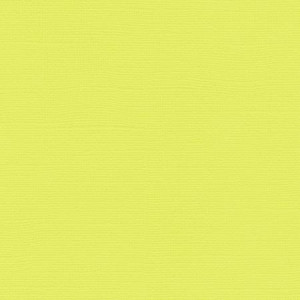 Papier Bazzill Toile 30,5 x 30,5 cm - 216 g/m² - Vert Limeade