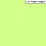 Feuille de papier Maya 50 x 70 cm 120 g/m² - Vert Menthe